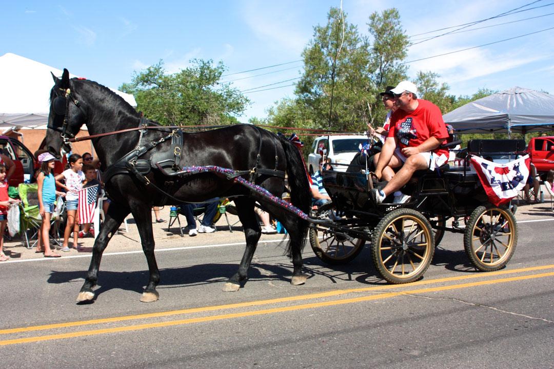 blackhorsewagon